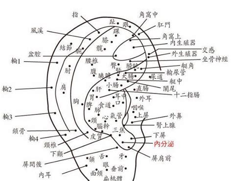 耳朵內長痣